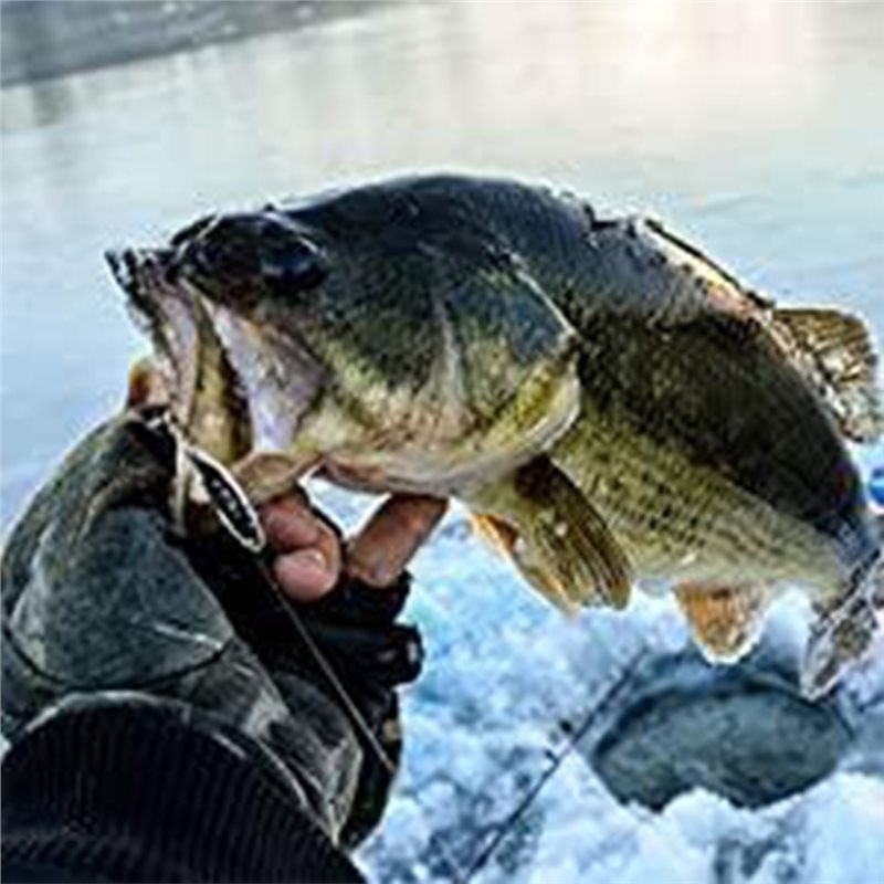 Fishing Boat Depth Finder - ABLB-Trasduttore per Ecoscandaglio da Kayak, Ecoscandaglio
