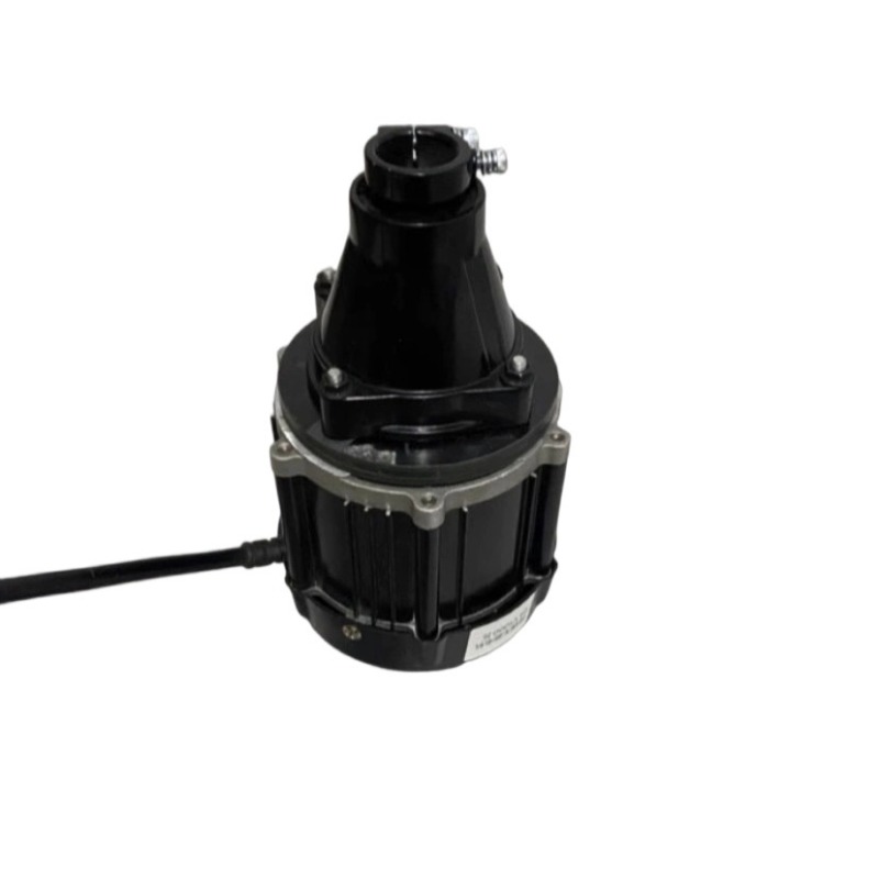 Motore Fuoribordo Brushless 12 - Fishing Boat Trolling Motor recensione e prezzo