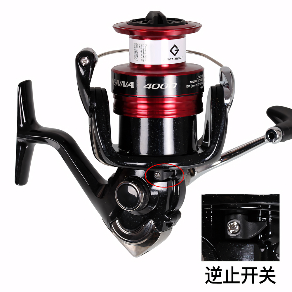 SHIMANO SIENNA Mulinello da Pe - Shimano Reel Sienna recensione e prezzo